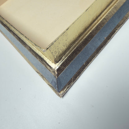 Trumpf Paradiso Vintage Pralinenschachtel mit Vögeln – 1950er/60er Jahre